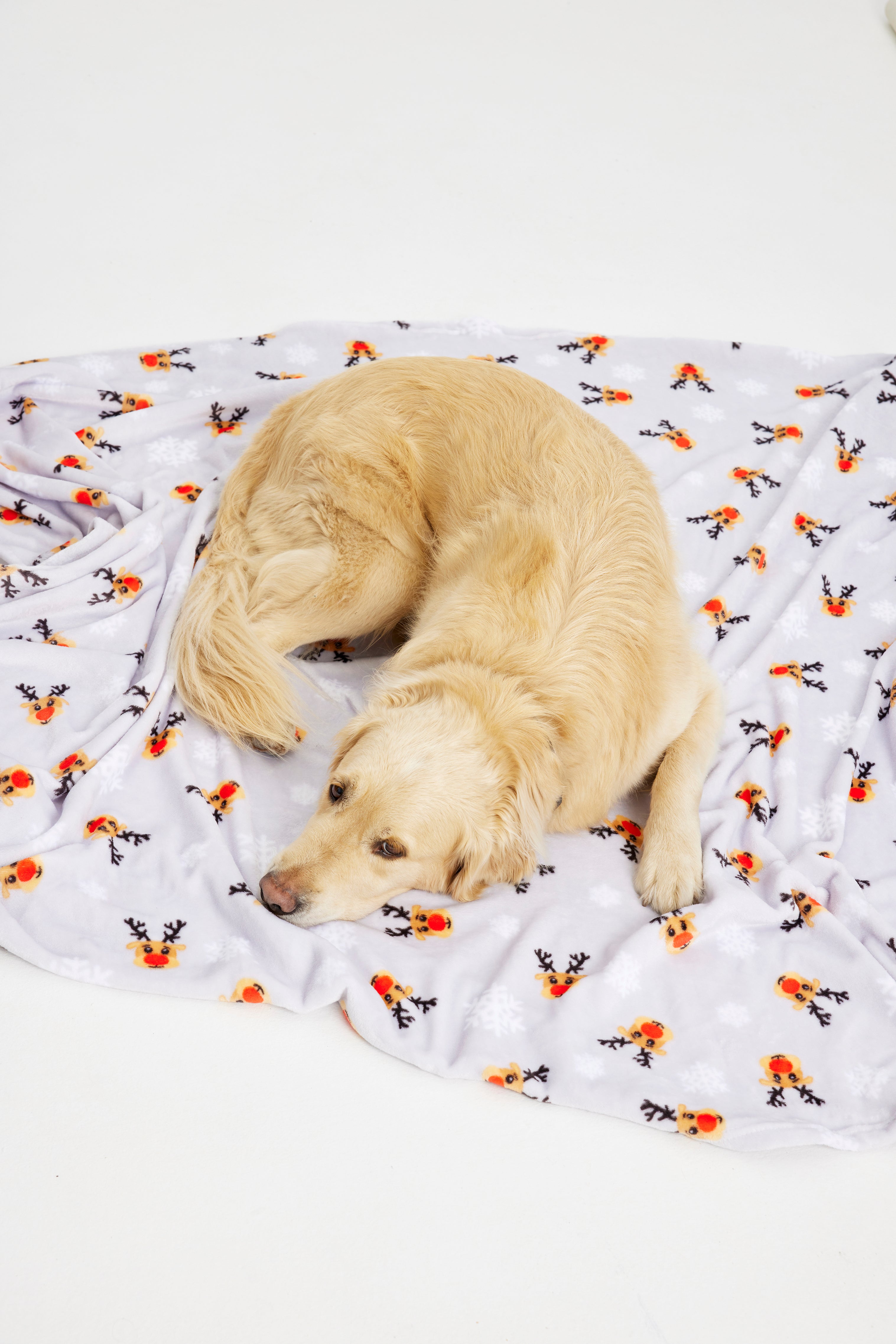 Een hond ligt op een kerstdeken.